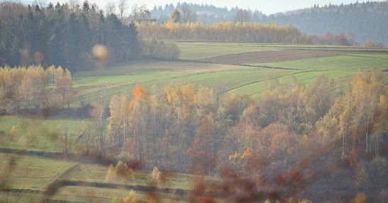 Rajd Żubrów 2013